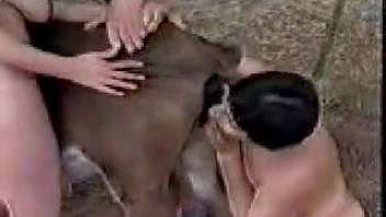 Open-air sex video featuring animal lovers and a hot cow