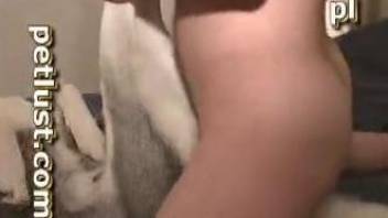 Dude happily fucks a kinky dog on his own bed