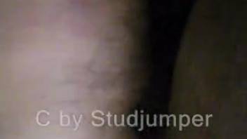 Up-close shot of a guy banging a horse in the rear