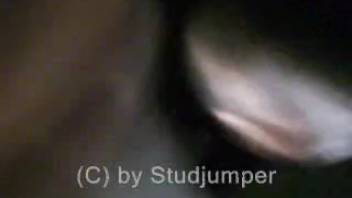 Hot intimate horse bestiality filmed on homemade camera