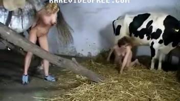 A blonde and a brunette banging a well-hung stud