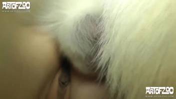 Blonde with pierced snatch getting hammered by a frisky mutt