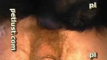 Remarkable anal intercourse with a generously endowed beast