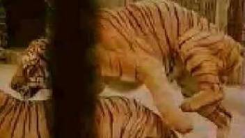 Two tigers fucking in an animal-on-animal porno video