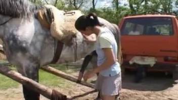Petite woman gets pounded by the horse in hard modes
