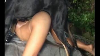 Hairy pussy Latina getting fucked by a black dog