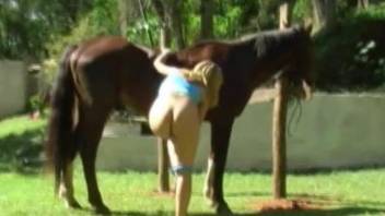 Blonde beauty gets intimate next to her horse