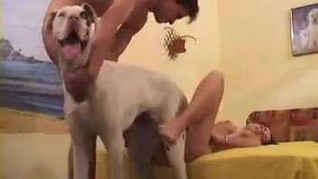 Complete homemade amateur intercourse with a canine recorded on camera