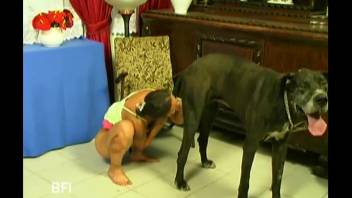 Mischievous lady employs Great Dane's instrument for her personal delights