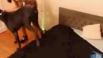 Slender redhead savoring passionate sex in high definition