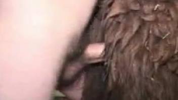 Horny mature man fucks animals in crazy zoophilia cam scenes