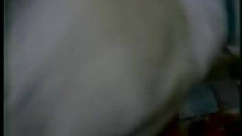Intense sex clip featuring a large-assed teenage animal fucker