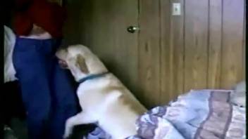 Canine mounts female and ejaculates semen into her mouth