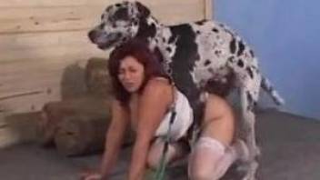 Gorgeous Latina babes and their lust for dog dicks