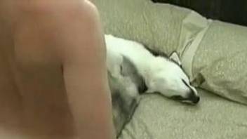 Horny dude fucking his bitch's tight dog pussy