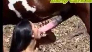 Scared-looking teen brunette getting fucked by a horse