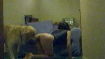 Spy cam footage showing hard sex with a horny dog