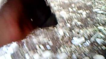 Massive-cocked stallion flaunts its hard-on in front of the camera