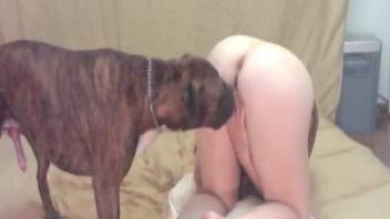 Big booty babe enjoying ruff fucking with a doggo