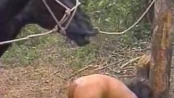 Nude amateur babes using the horse giant cock for sex and pleasure