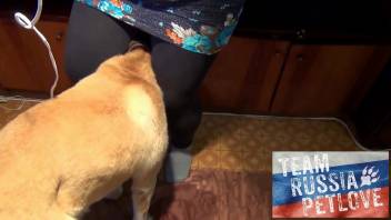 Russian novice fellating a canine's tasty erection