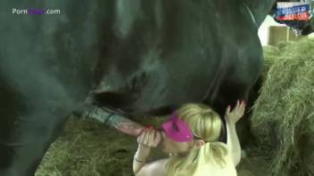 Busty blonde handles a stud's massive dick