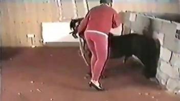 Slutty chick gets drilled on all fours by a black dog