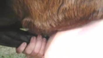 Light-skinned bestiality lover with a pale ass being anally penetrated by a horse