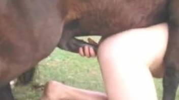 Pale booty zoophile getting ass-fucked by a horse