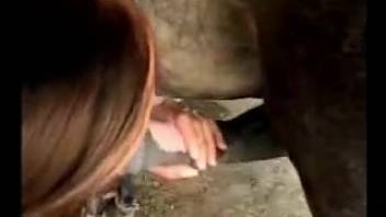 Girl with ponytail licks a stud's dick before intercourse