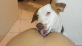 Filthy guy munching on a girl's butt in a steamy adult clip