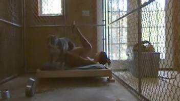 Caged beauty getting boned by a big-dicked mutt