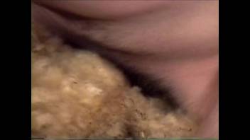 Aroused dude chooses to bang a sheep that's even more excited