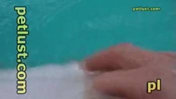 Guy stroking a dolphin's bizarre but alluring erection