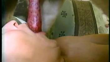 Gorgeous lady deepthroats a massive canine penis and enjoys every moment