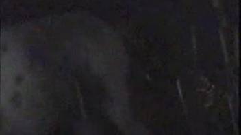 Guy pounds a massive mare's enormous vagina on webcam