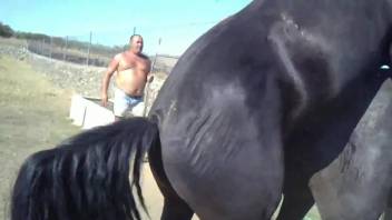 Sexy stallion fucking a mare's moist pussy from behind