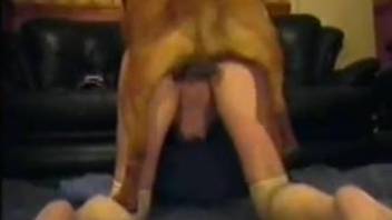 Horny housewife enjoying doggy style sex with a dog