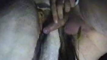 Dude fingering the animal's tight cunt and fucking it good