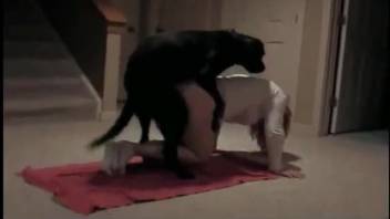 Fantastic fucking encounter with a alluring vixen