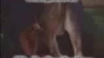 Older woman blows a massive stallion cock in plenty of styles