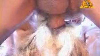 Aroused guy pounds the goat's butt deeply until he nuts
