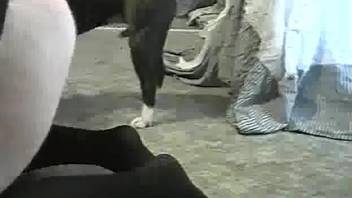 Fat zoophile with a big butt fucks a dog on the floor