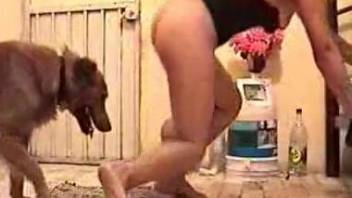 Sexy nude woman appears fucking with the dog on live cam