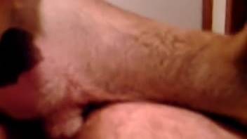 Hairy butthole guy gets pounded by a perverted canine
