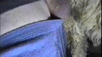 Aroused guy really enjoys banging the sheep from behind