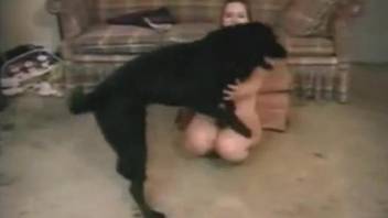 Good dog fuck action with a black beast and a zoo slut
