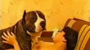 Tight female feels whole dog cock smashing her pussy