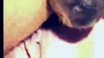 Petite spouse gets wild with the canine in complete homemade bestiality footage