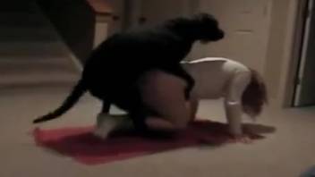 Hot lady goes crazy with the canine dick in her pussy